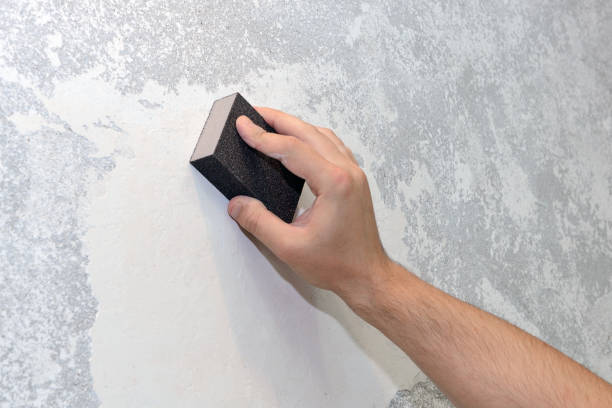 Best Real Estate Mold Inspection  in Oquawka, IL