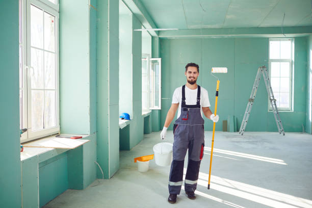 Best Basement Mold Removal  in Oquawka, IL