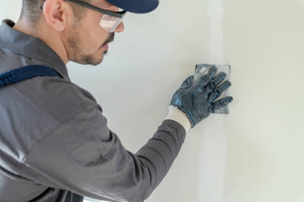 Best Mold Removal for HVAC Installations  in Oquawka, IL