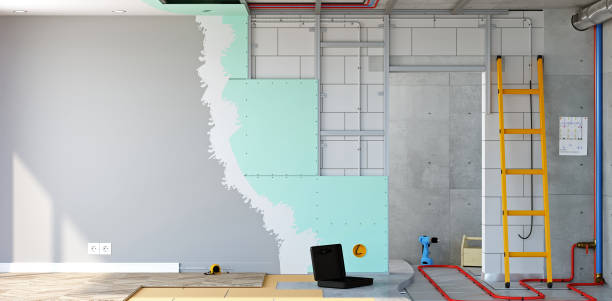 Best Biohazard Mold Removal  in Oquawka, IL