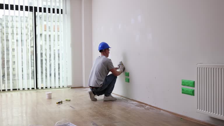 Best Residential Mold Inspection & Testing  in Oquawka, IL