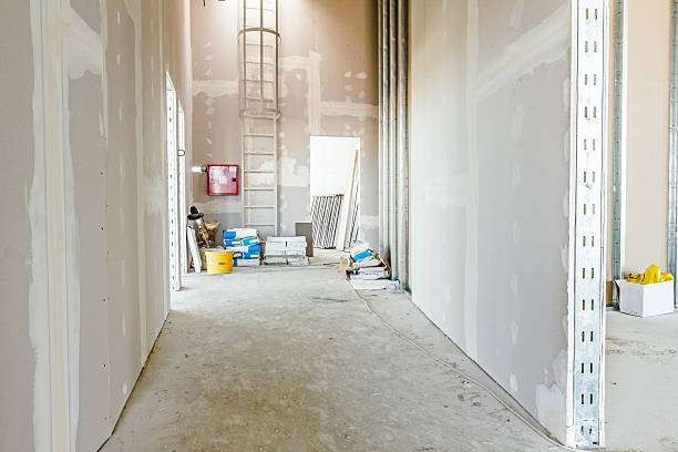 Best Water Damage & Mold Remediation  in Oquawka, IL