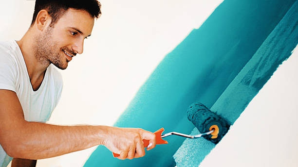 Reliable Oquawka, IL Mold Removal Solutions